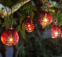 10 LED Solar Lichterkette Marienkäfer