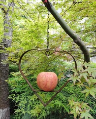 Apfel-und Meisenknödelhalter in Herzform