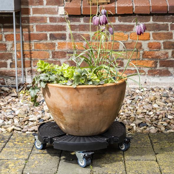 Pflanzenroller, verstellbar