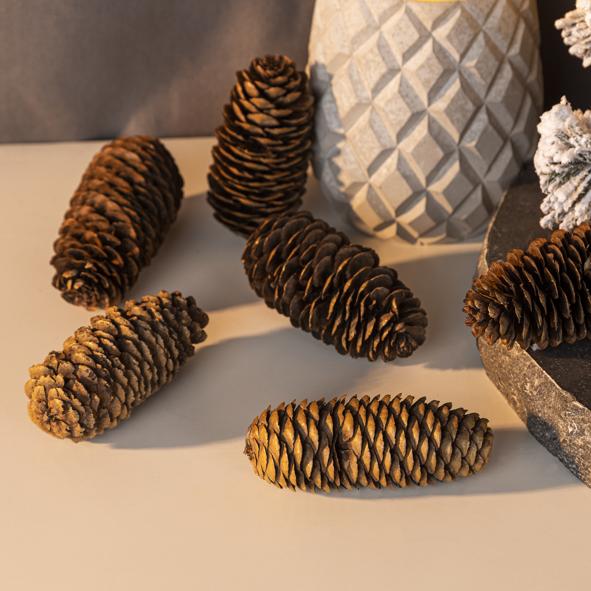 Tannenzapfen 6 Stück