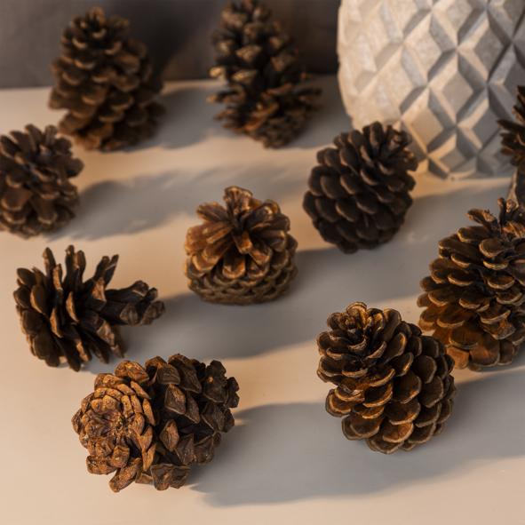 Tannenzapfen 10 Stück