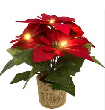 Weihnachtsstern ca. 24 cm