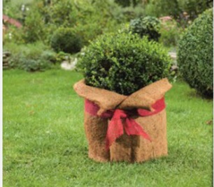 Pflanzenschutzmatte aus Kokos