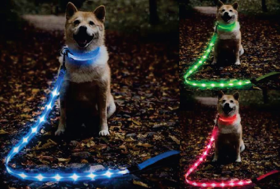 LED Halsband + Leine für Hunde