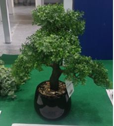 Künstlicher Bonsai in Keramiktopf