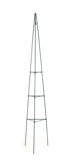 Rankhilfe Pyramide, faltbar