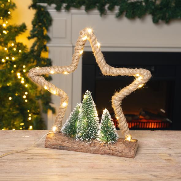 Stern mit Weihnachtsbaum Kulisse