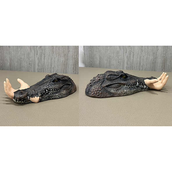 schwimmender Krokodilkopf