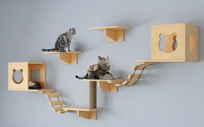 Katzen-Kletterwand-Set