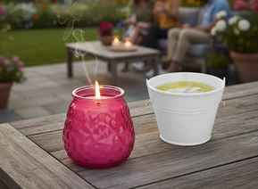 Citronella-Kerzen im Display  - 16 Stck